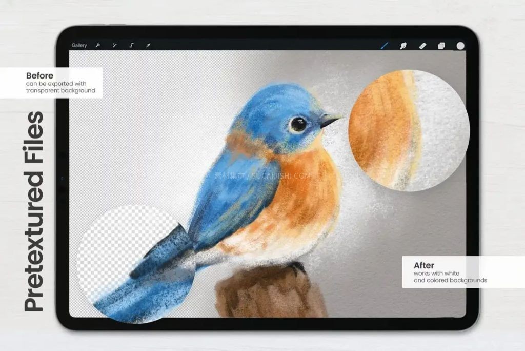 Procreate超写实粉彩粉笔画笔